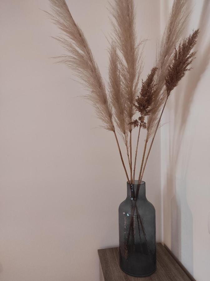 Apartment Cvetka ポルトローシュ エクステリア 写真